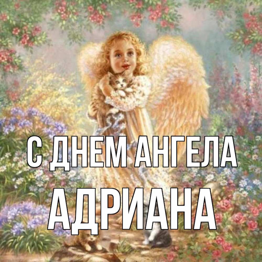 Поздравления и открытки: Адриан, с Днём Рождения! 💝 + музыкальные и голосовые от Путина