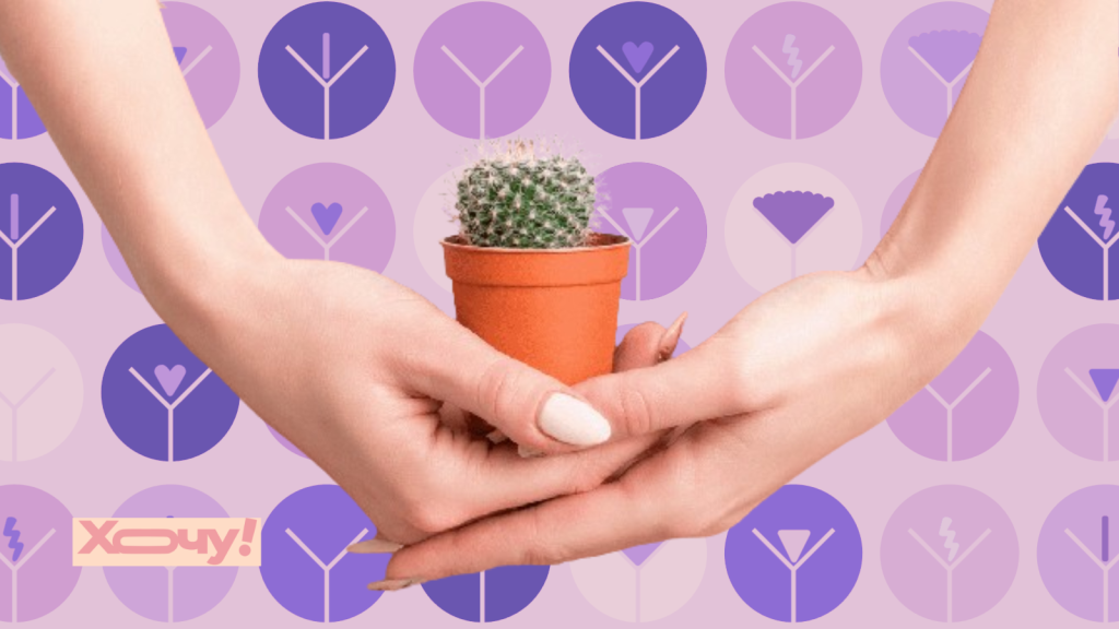 Що в трусиках? Експерти з видалення волосся назвали трендові інтимні стрижки 2025 року