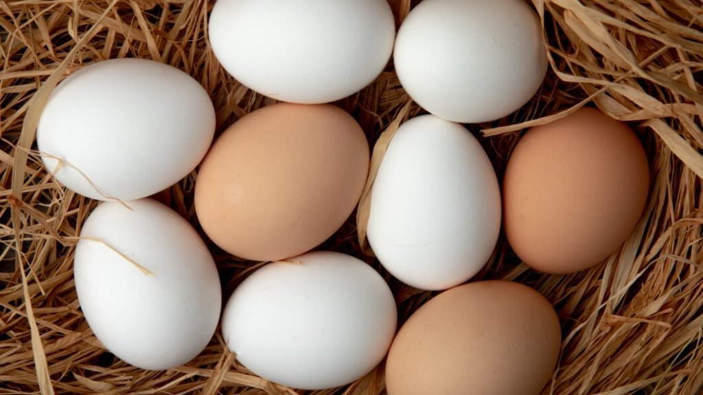 Белые или коричневые: только один вид яиц подходит для пасхального окрашивания