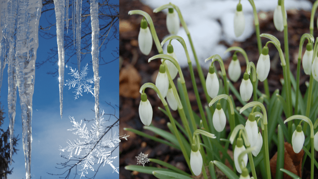 Присмотритесь сегодня к знакам природы: проверенные приметы на Сретение