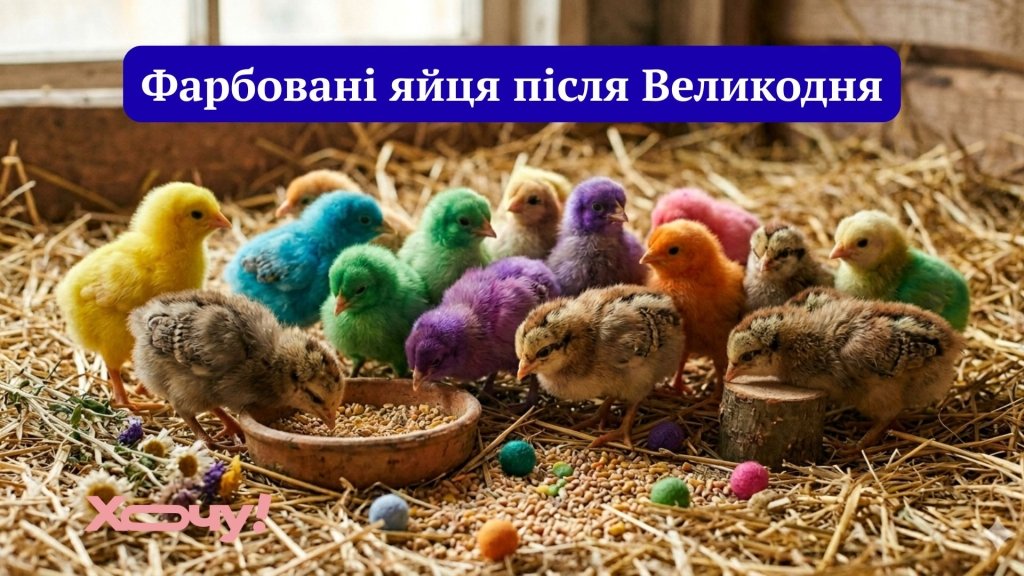 Главное, что с душой: подборка эпических провалов с пасхальными яйцами и пасочками