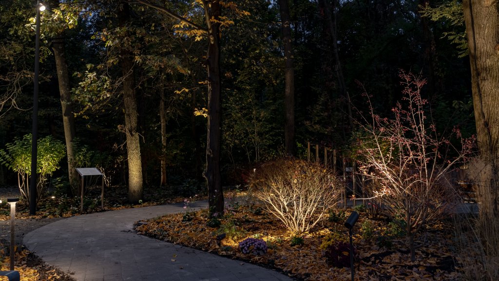 В Украине появилось место, дарящее покой: как выглядит уникальный Терапевтический сад на ВДНХ и что там есть (ФОТО)