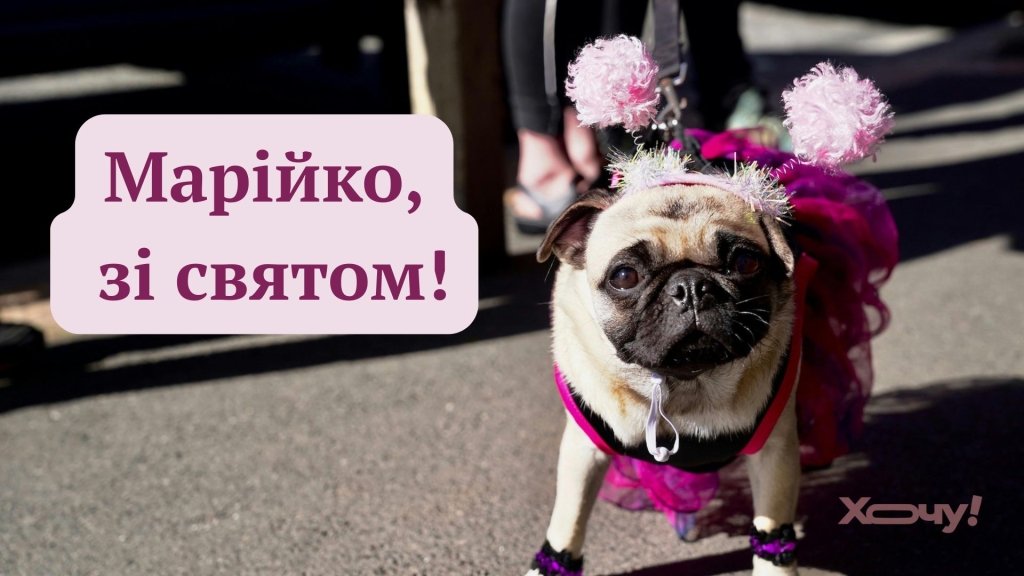 Вместо банальных и сухих слов: веселые и забавные поздравления с Днем ангела для Машеньки