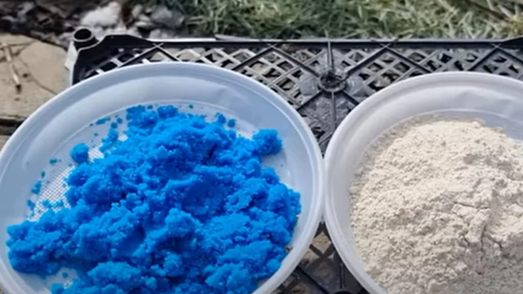 “Блакитний дощ” для вашого саду: як правильно розводити бордоську суміш