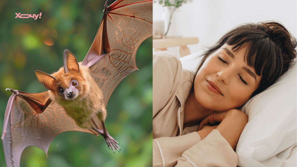 Сон о летучей мыши — всегда вещий: вот кому будет наследство, а кто наденет кольцо