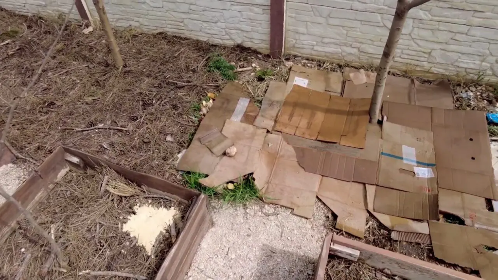 Це “сміття” розумні дачники збирають всю зиму: справжній скарб на городі