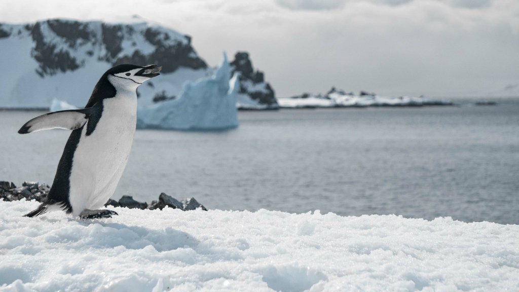 Необычные и редкие профессии в мире