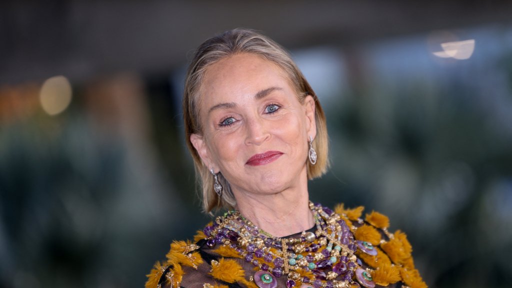 Вне времени и правил: 68-летняя Шэрон Стоун удивила выходом в прозрачном платье (фото)