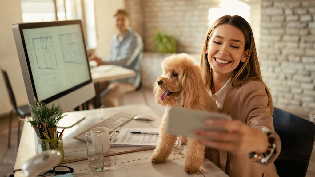 Офисы, где разрешено держать домашних животных — меньше стресса, больше продуктивности: как домашние животные влияют на психическое здоровье и результаты