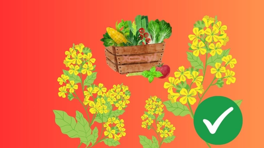 Простий лайфхак, як отримати ідеальний город: треба лише посадити цю рослину