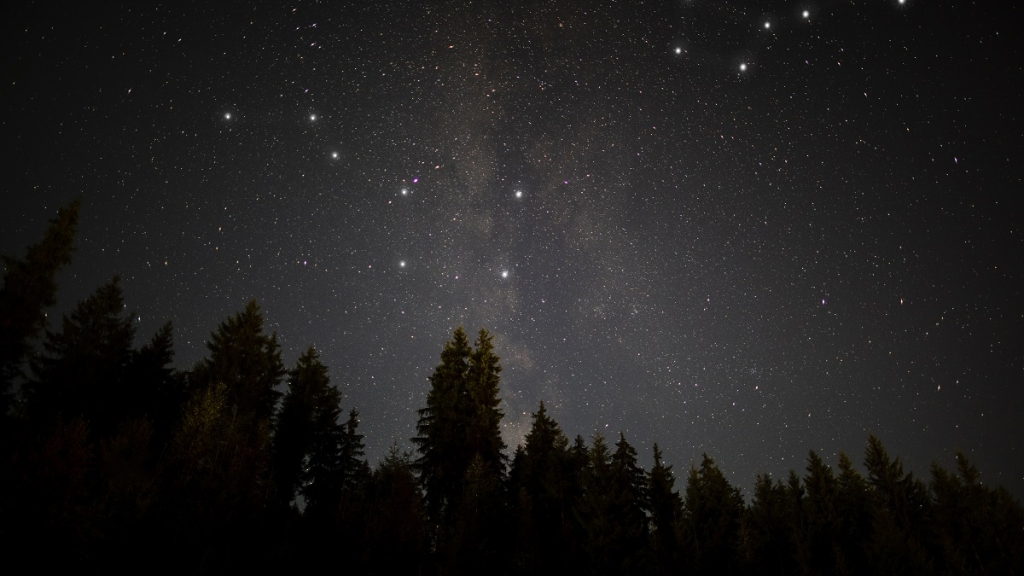 Небо Украины покроется звездопадом: астрологи назвали число и время зрелища (ВИДЕО)
