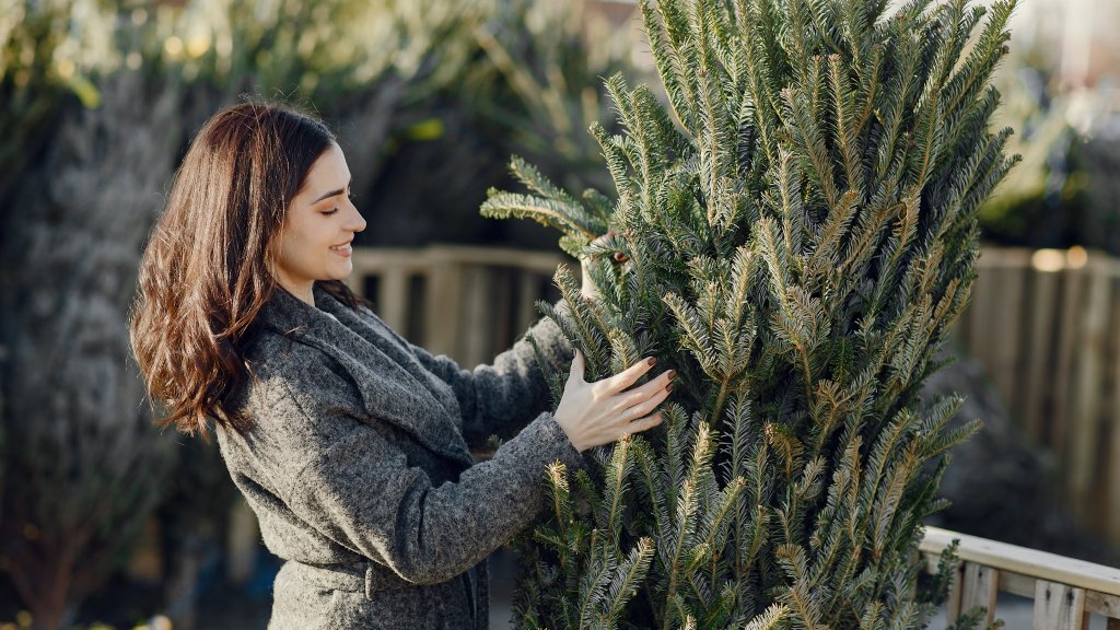 Не пісок і не ґрунт: у що поставити ялинку, щоб простояла всі свята