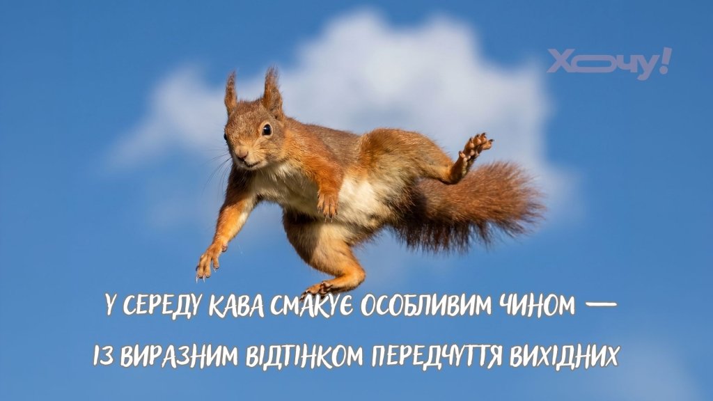 Маленькая пятница или тяжелый экватор: забавные приколы о среде, которые заставят улыбнуться даже самым печальным