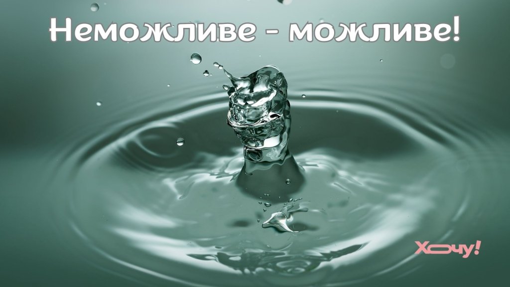 Свято тих, хто контролює ситуацію посеред цілковитого хаосу: з Днем пастухів котів