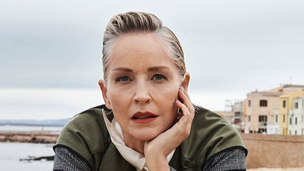 Получила $500,000 за самую известную роль, зато славы — на миллиарды: 7 самых крутых ролей Шэрон Стоун (+ТРЕЙЛЕРЫ)