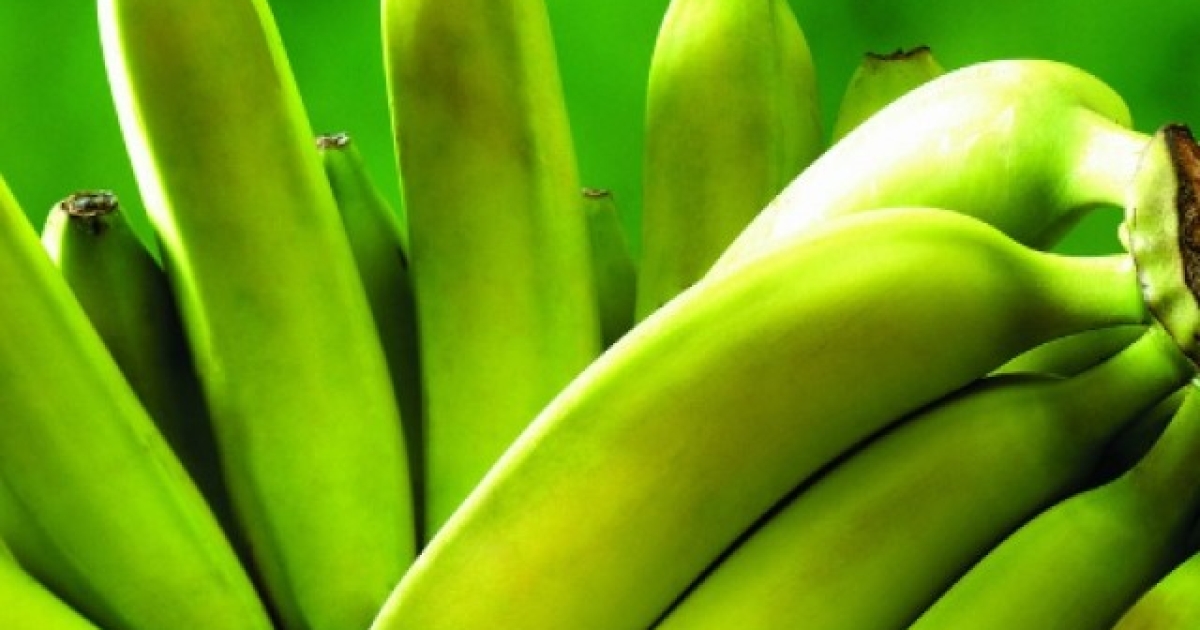 Банан для повышения настроения: как это работает ‑ 3 факта, о которых ты не знала