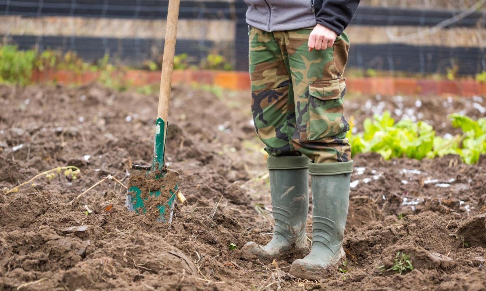 Можно ли копать после дождя. Человек копает. Сборка мотолопаты для копки земли. Можно ли копать после дождя. Весенняя перекопка почвы.