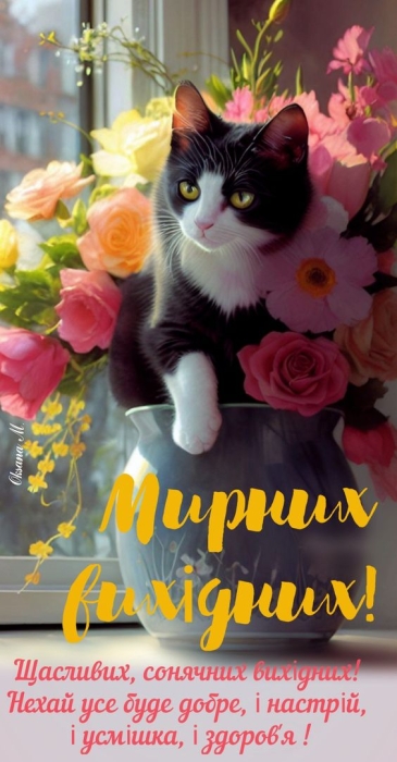 Кіт у вазі з квітами, картинка
