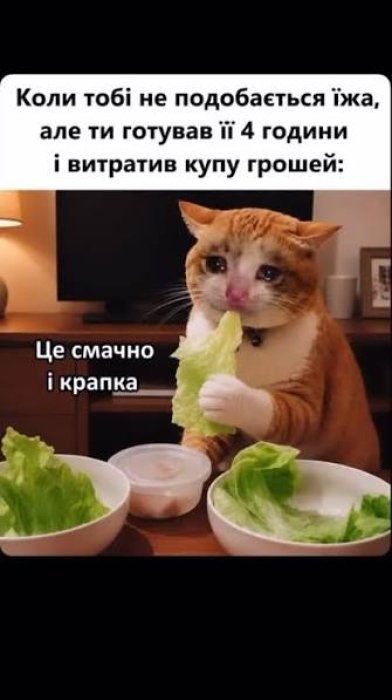Лучшие шутки о готовке