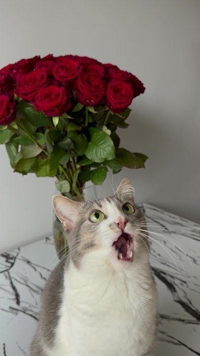 Заряд позитиву на весь день