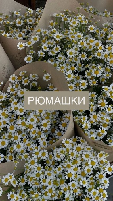 Самые популярные цветы и их "мужские" названия