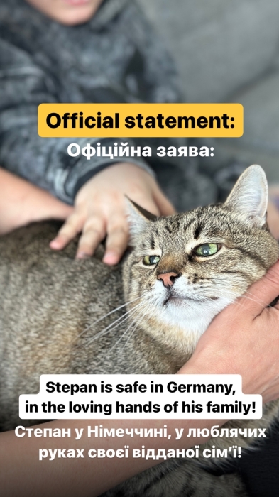 Кот Степан вышел на связь из Германии.