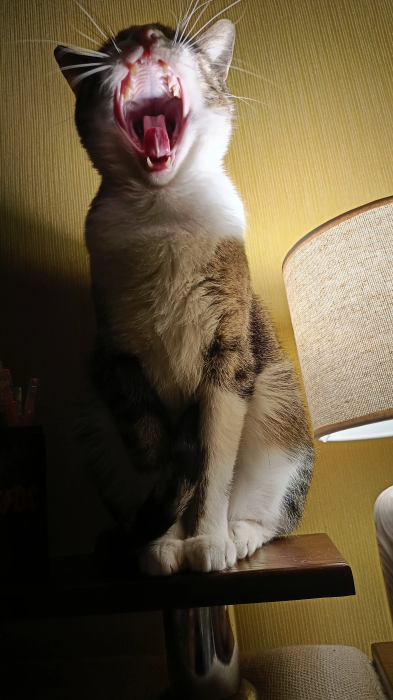 Заряд позитиву на весь день