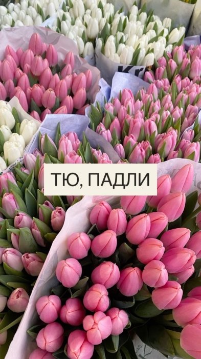 Самые популярные цветы и их "мужские" названия