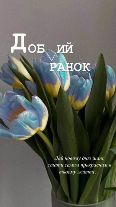 Побажання доброго ранку — яскраві картинки та листівки на кожен день