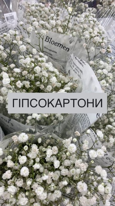 Самые популярные цветы и их "мужские" названия