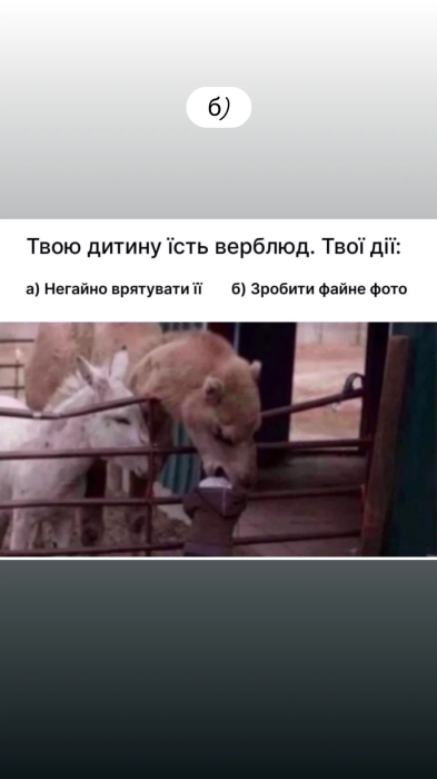 Свіжий гумор у картинках для гарного настрою