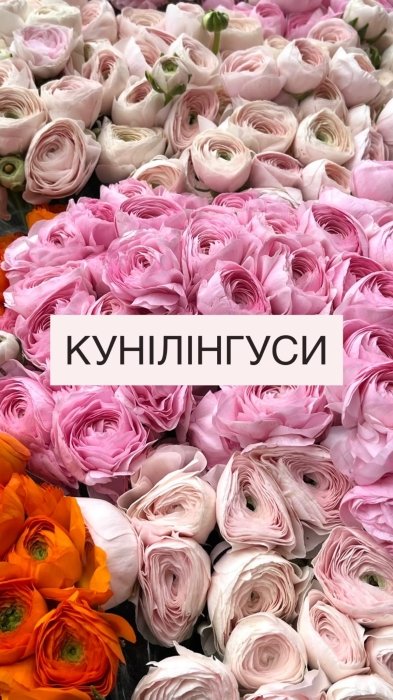 Самые популярные цветы и их "мужские" названия