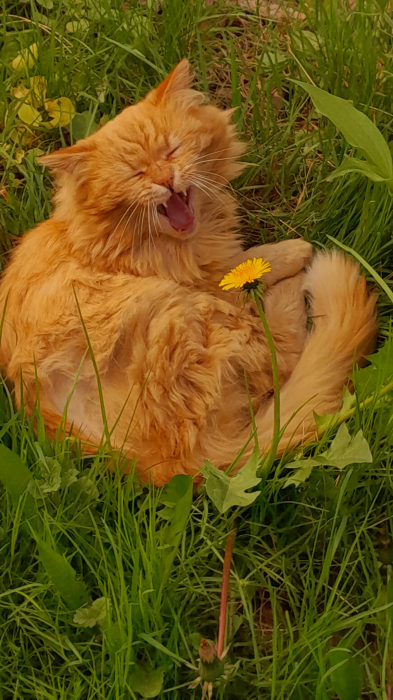 Заряд позитиву на весь день