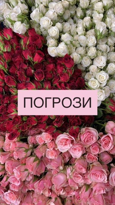 Самые популярные цветы и их "мужские" названия