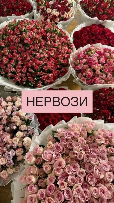 Самые популярные цветы и их "мужские" названия