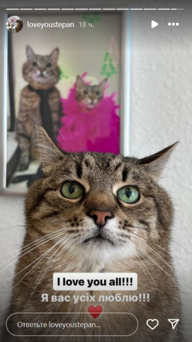 Кіт Степан у Німеччині, фото
