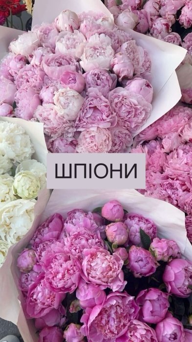 Самые популярные цветы и их "мужские" названия