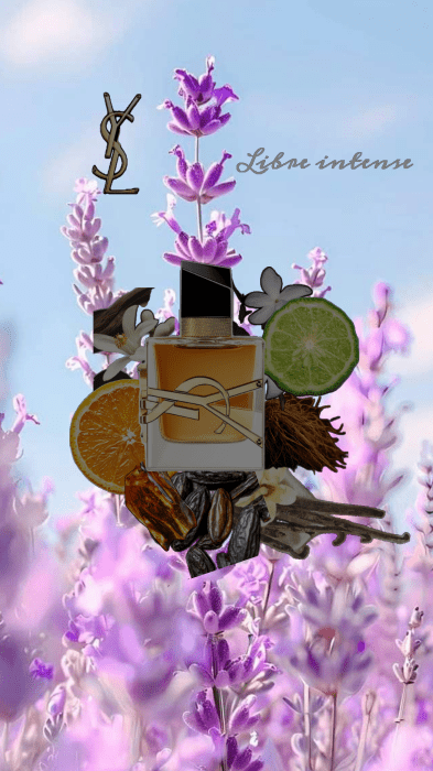 Лучшие духи 2026