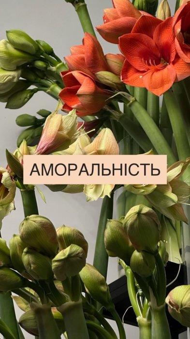 Самые популярные цветы и их "мужские" названия