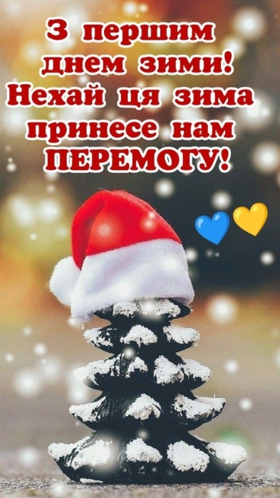 Вітаємо з приходом зими! Щирі побажання та забавні картинки — українською - фото №20