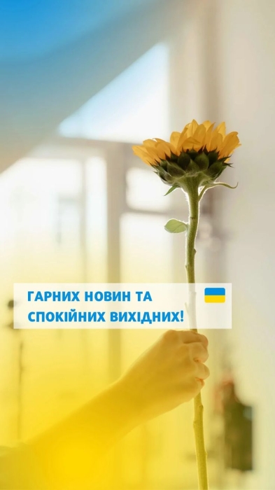 Квітка соняшника на жовто-блакитному фоні, фото
