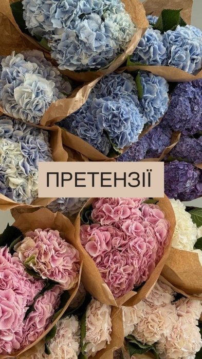 Самые популярные цветы и их "мужские" названия