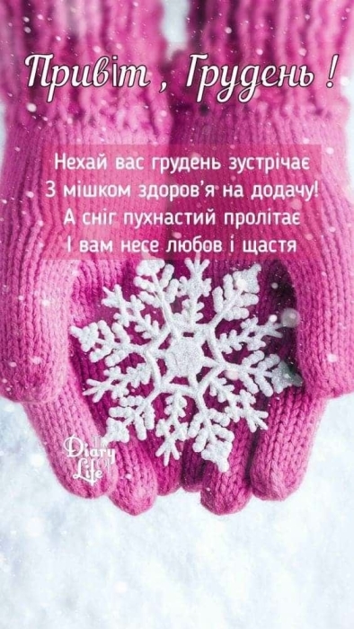 Вітаємо з приходом зими! Щирі побажання та забавні картинки — українською - фото №7