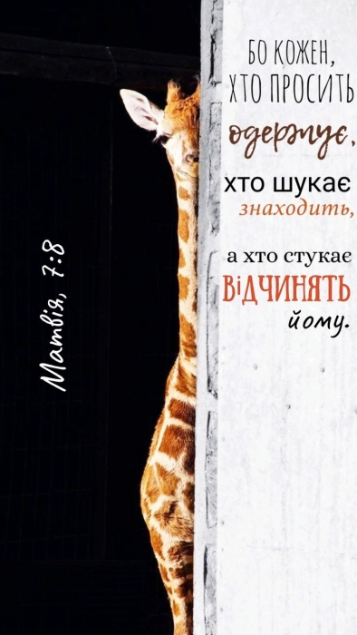 Международный день Библии 2023: мотивирующие цитаты из Священного Писания и библейские открытки — на украинском - фото №5