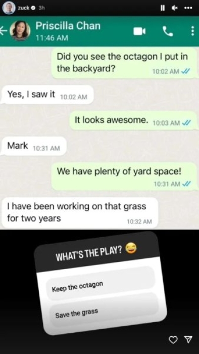 Марк Цукерберг имеет проблемы с женой из-за травы: что известно - фото №2