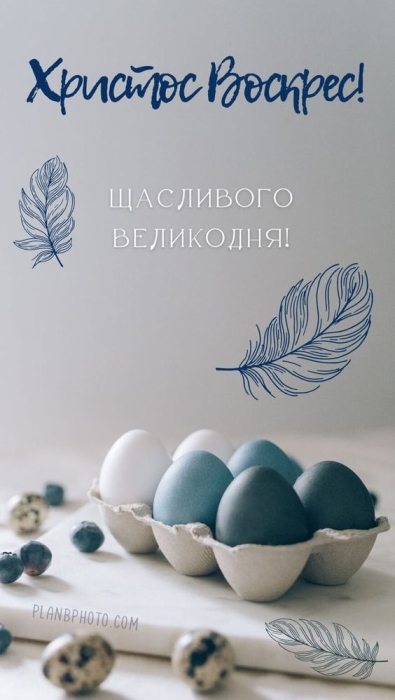 Сині, блакитні та білі яйця, фото