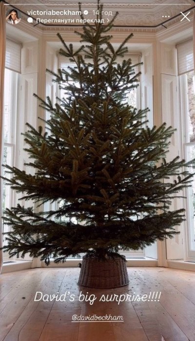 Виктория Бекхэм показала праздничную елку и реакцию Дэвида