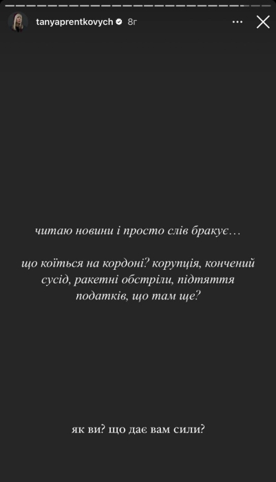 Українські блогери підняли гвалт через нову податкову стратегію: чим "годують" інфлюенсери аудиторію напередодні Нового року - фото №5