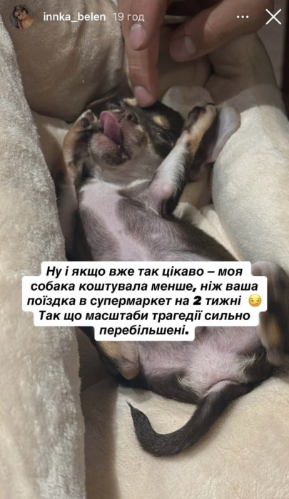 Інну Белєнь розкритикували підписники через породисте цуценя