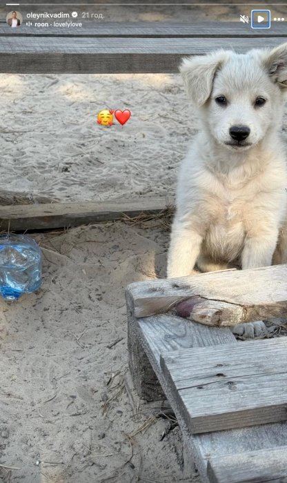 Вадим Олійник служить у ЗСУ чи ні - свіжі фото співака